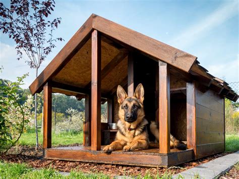 extra large dog house den